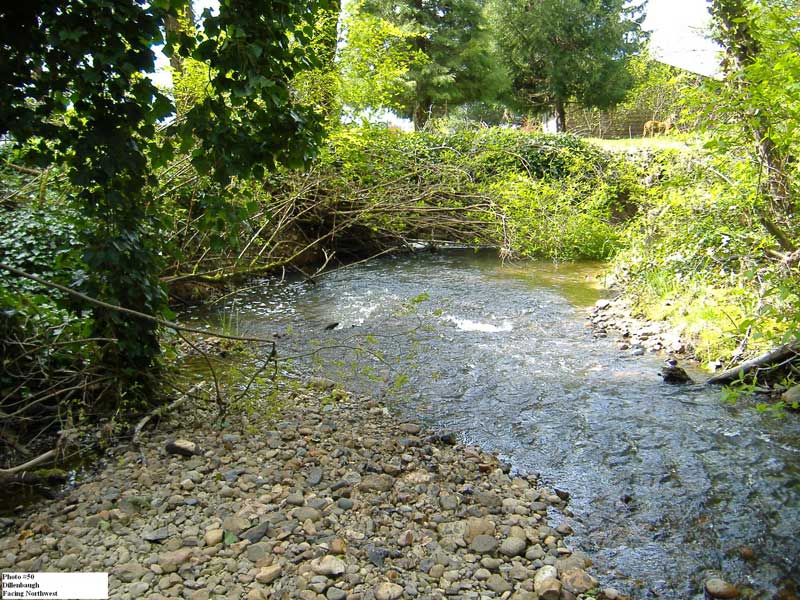 2_DillyTwig_Basin