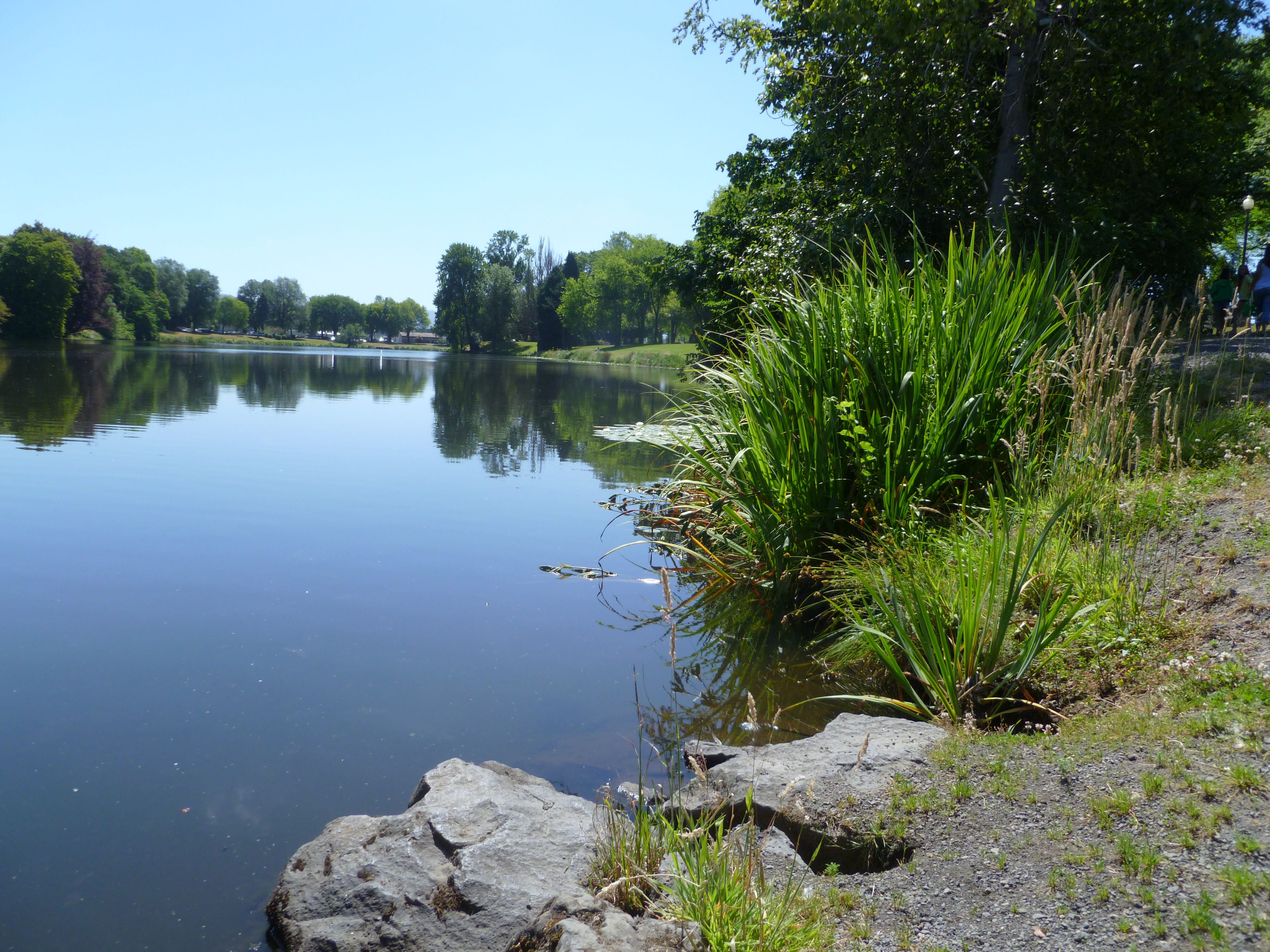 Lake_Sacajawea_Flushing_web